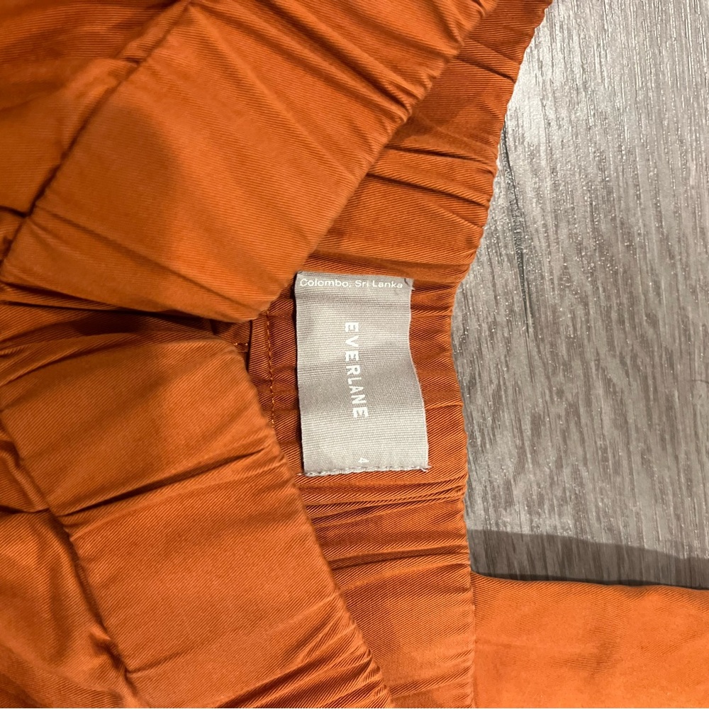 Everlane Wide Leg Elastic Waist Pants in Rust - Picture 6 of 6